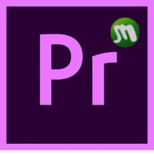 Adobe Premiere Pro CC 2019 Mawto