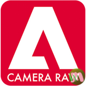 Adobe Camera Raw Crack