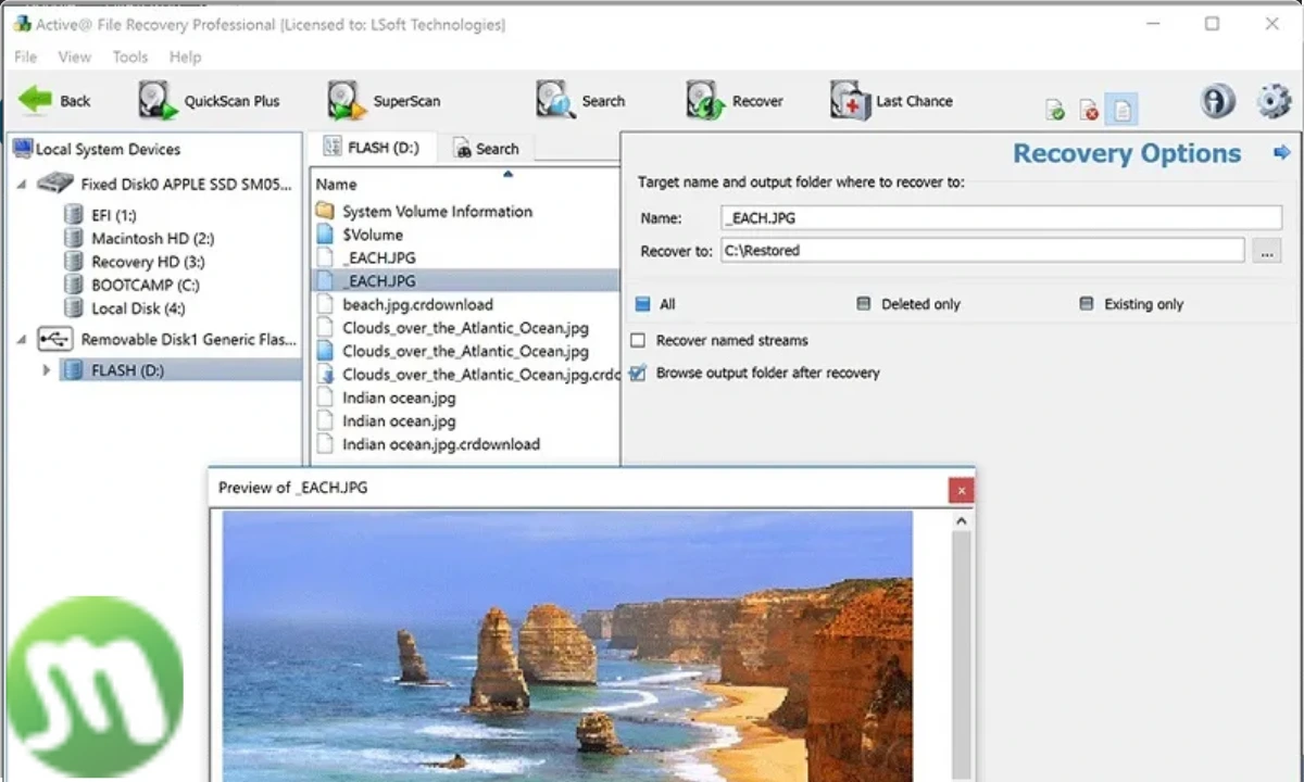 Active File Recovery Free Download