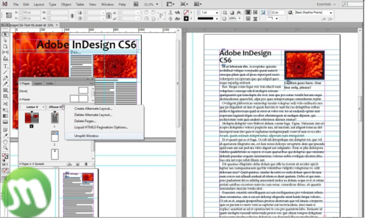 Adobe InDesign CS6 Free Download