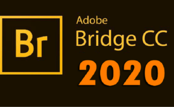 Download Adobe Bridge CC 2020