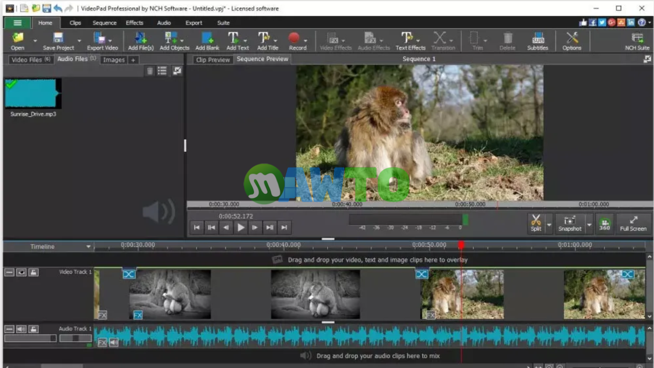 RiseNCH VideoPad Pro ฟรี ตัวเต็ม